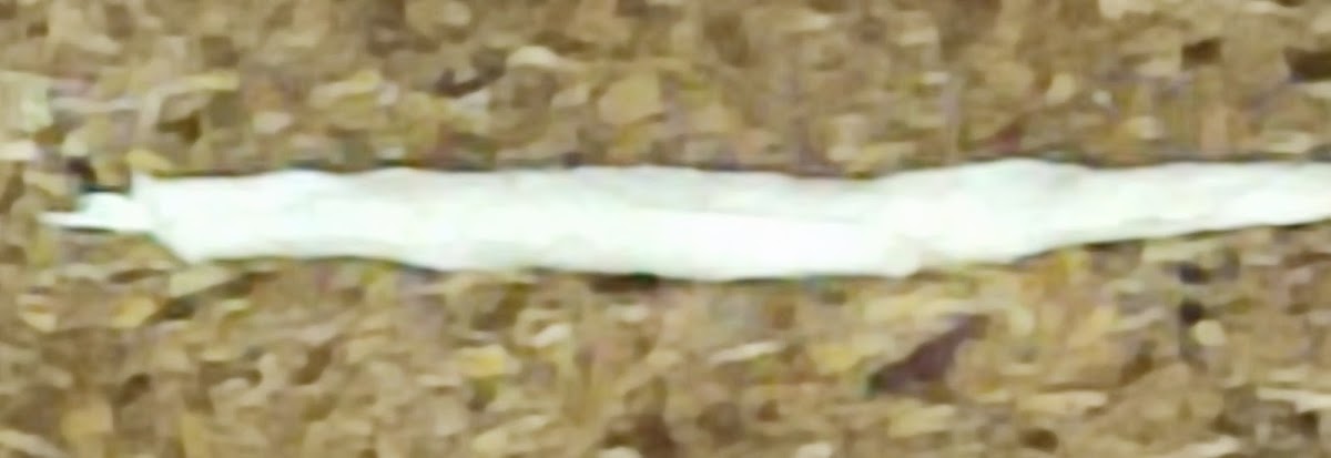 gp_6a4733bdef6d6